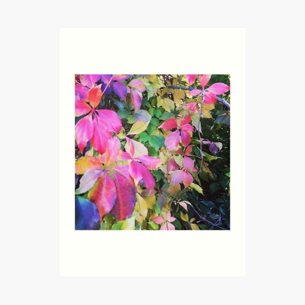 Foglie Art Print