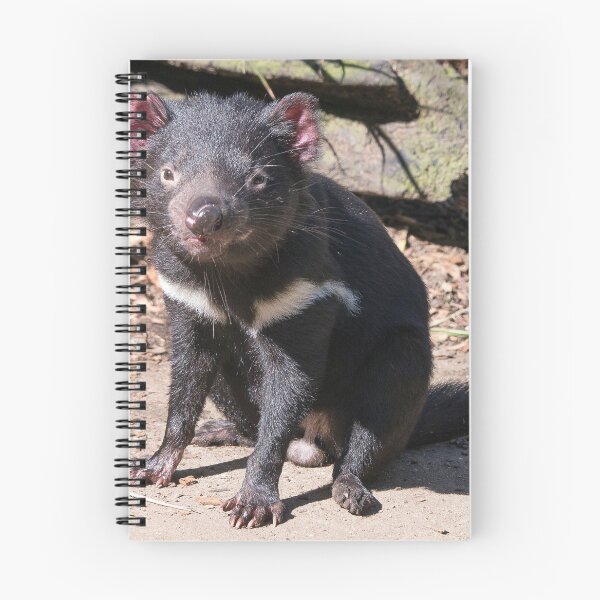 Item preview, Tasmanian Devil designed and sold by StevenRalserPhoto.