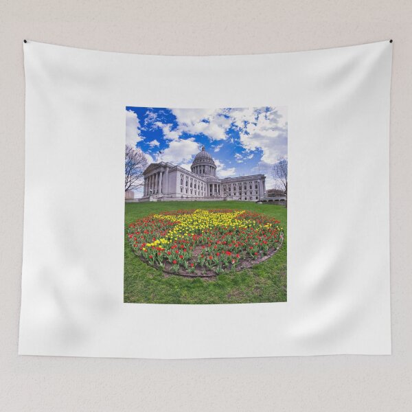 Aperçu de l'œuvre Capitol, Madison, WI avec des tulipes verticales créée et vendue par StevenRalserPhoto.