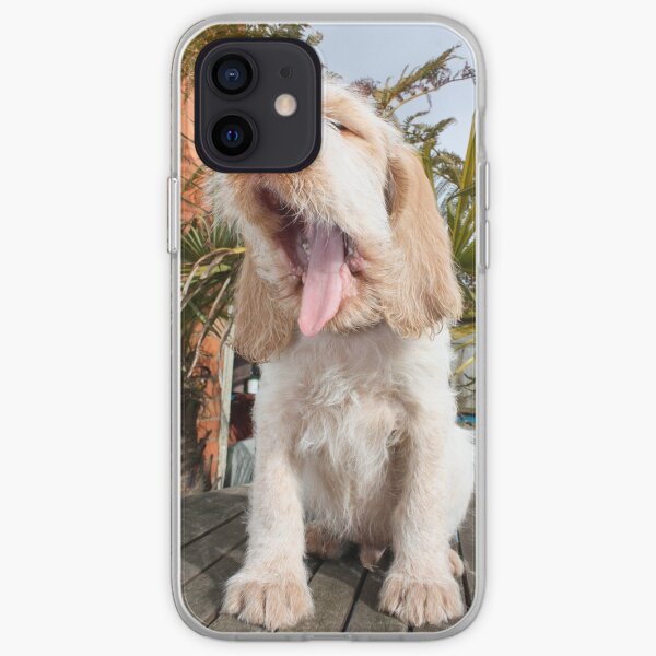 Yawning Spinone Puppy iPhone Soft Case