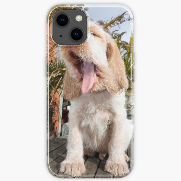 Yawning Spinone Puppy iPhone Soft Case