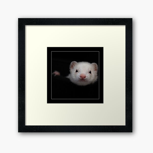-005- Framed Art Print