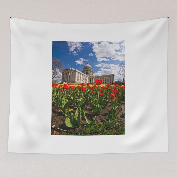 Aperçu de l'œuvre Wisconsin Capitol et Tulips 3 - Vertical créée et vendue par StevenRalserPhoto.