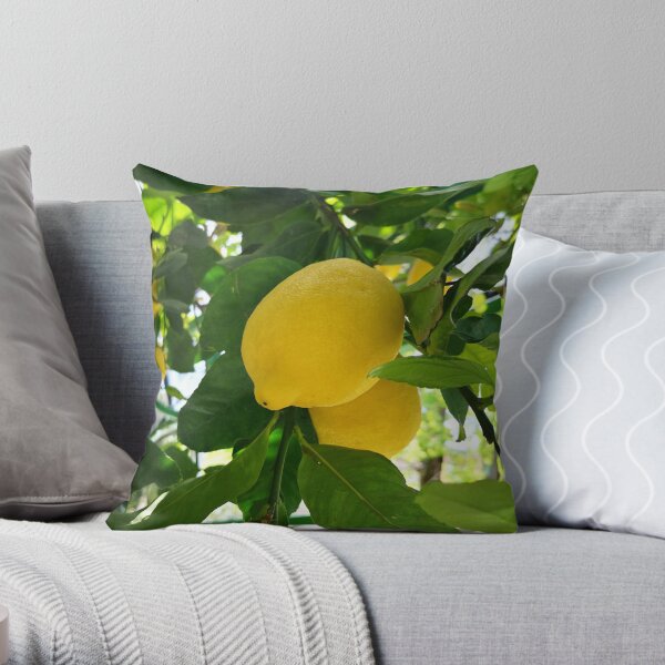 Lemon hanging on a lemon tree, Maiori, Italy Throw Pillow