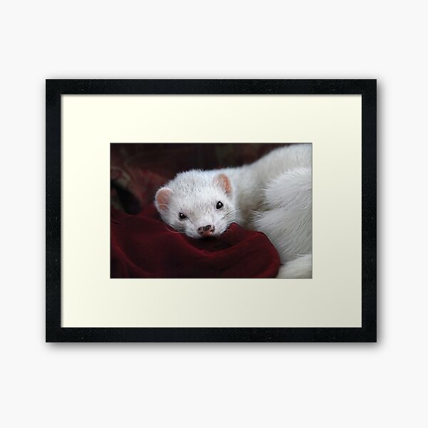 Tu chantais si bien ... Framed Art Print