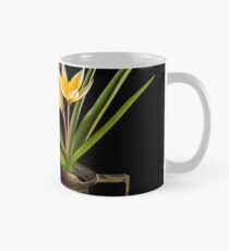 Tulpe in der alten kupfernen Schale Tasse (Standard)