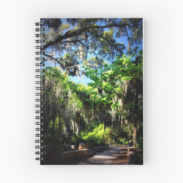 Item preview, Bonaventure Morning designed and sold by Cecilia Carr.