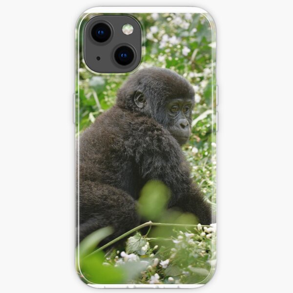 baby mountain gorilla, Bwindi, Uganda iPhone Flexible Hülle