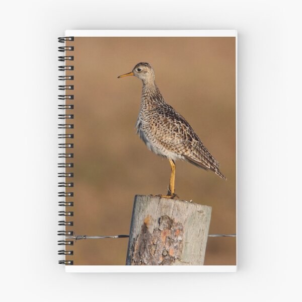 Item preview, Upland Sandpiper designed and sold by Larry Trupp.