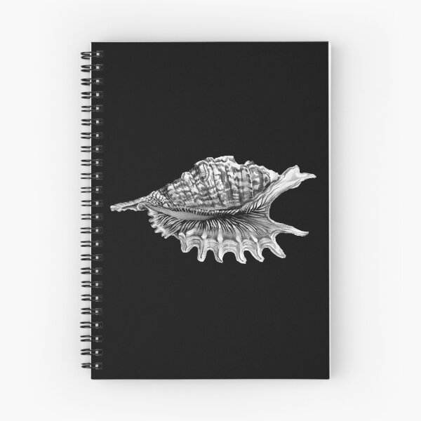 Item preview, Sea shell in gray on a black background, hand graphics designed and sold by SASHA-MATBON.