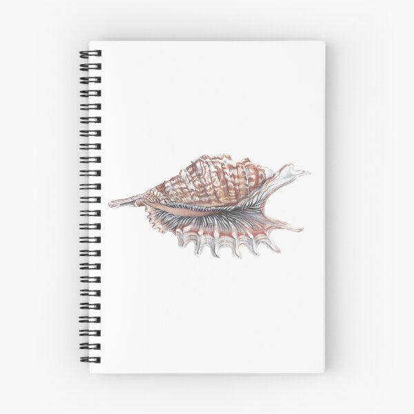 Item preview, Poster Seashell painted with watercolor designed and sold by SASHA-MATBON.