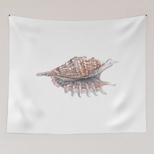 Item preview, Poster Seashell painted with watercolor designed and sold by SASHA-MATBON.