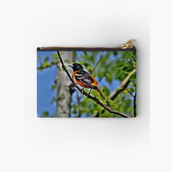 Item preview, Baltimore Oriole designed and sold by Larry Trupp.