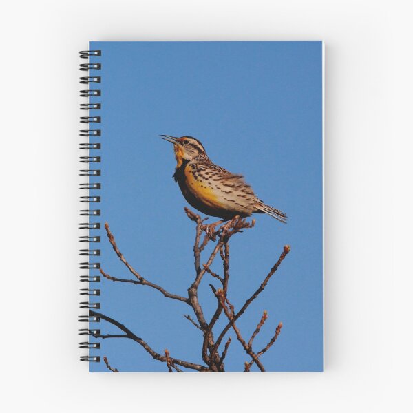Item preview, Melodious Lark designed and sold by Larry Trupp.
