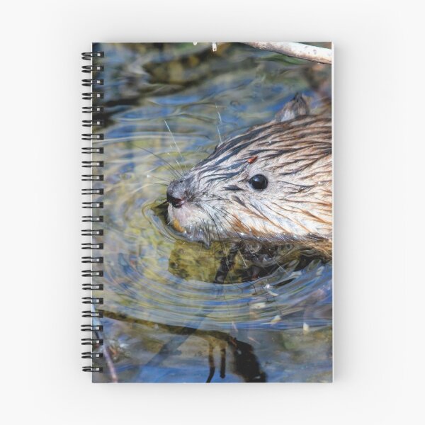 Item preview, Muskrat designed and sold by Larry Trupp.