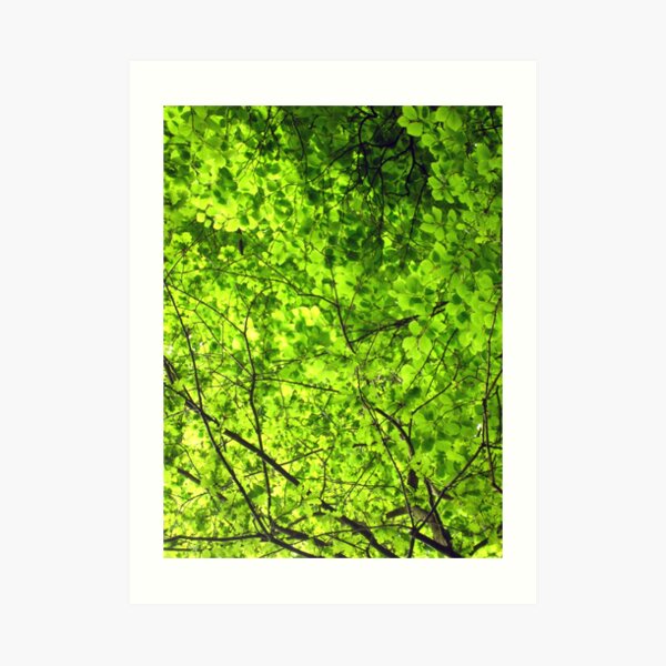 Sea of Green Art Print