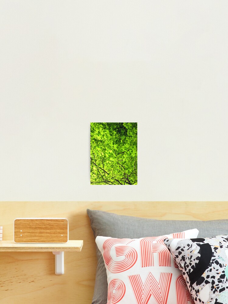 Aperçu 2 sur 3. Impression photo avec l'œuvre Mer de vert créée et vendue par RJBPhotoDesign.
