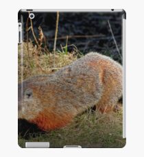 Groundhog iPad Case/Skin