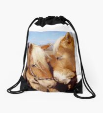 Palomino haflinger horses Turnbeutel