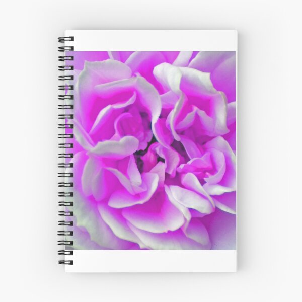 Item preview, Rose - Purple designed and sold by Studio 4 Photo.