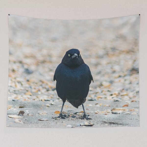 Item preview, Boat-tailed Grackle at Beach designed and sold by KensLensDesigns.