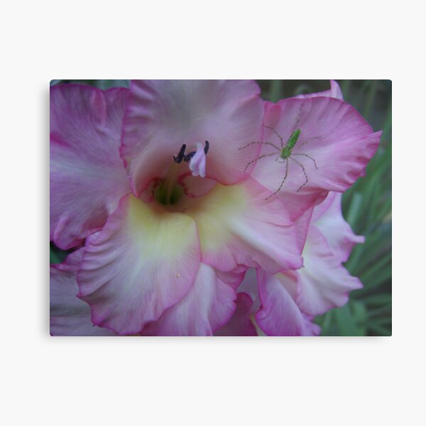 the waiting game Metal Print