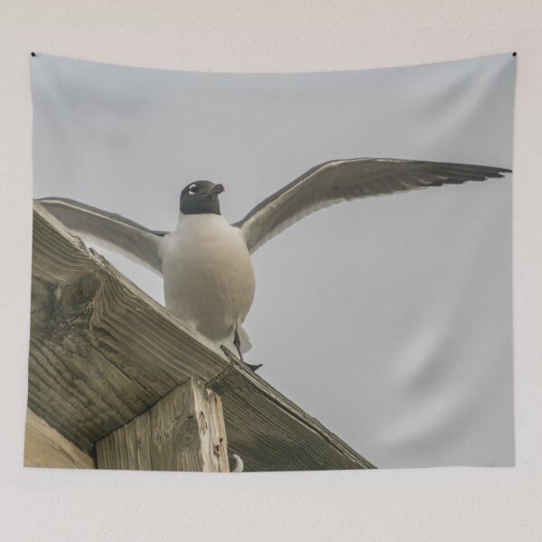 Item preview, Gull designed and sold by KensLensDesigns.