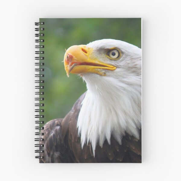 Item preview, Bald Eagle designed and sold by Jo Nijenhuis.