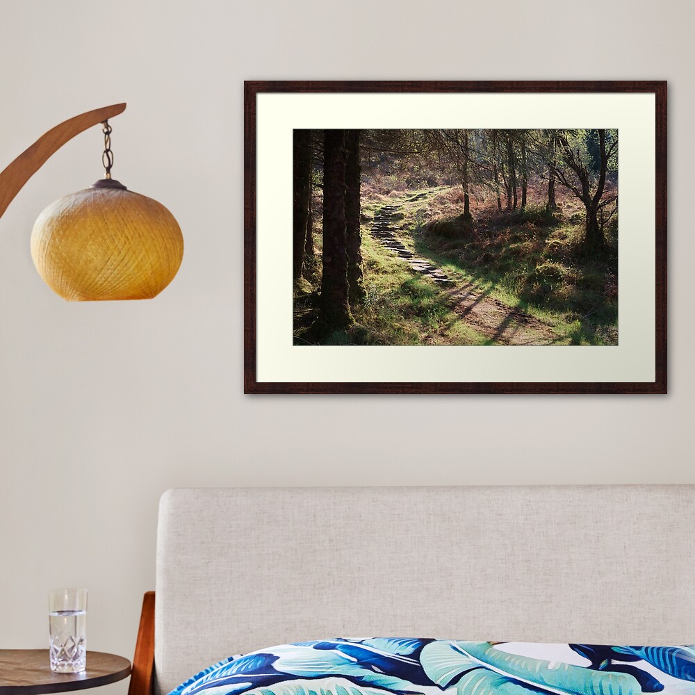 Of Mary and James Framed Art Print