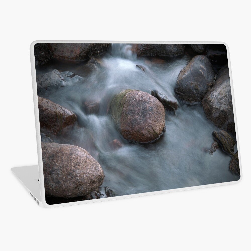 Item preview, Laptop Skin designed and sold by ShinyPhoto.