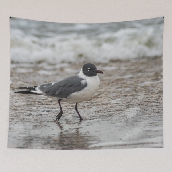 Item preview, Walk along the ocean designed and sold by KensLensDesigns.