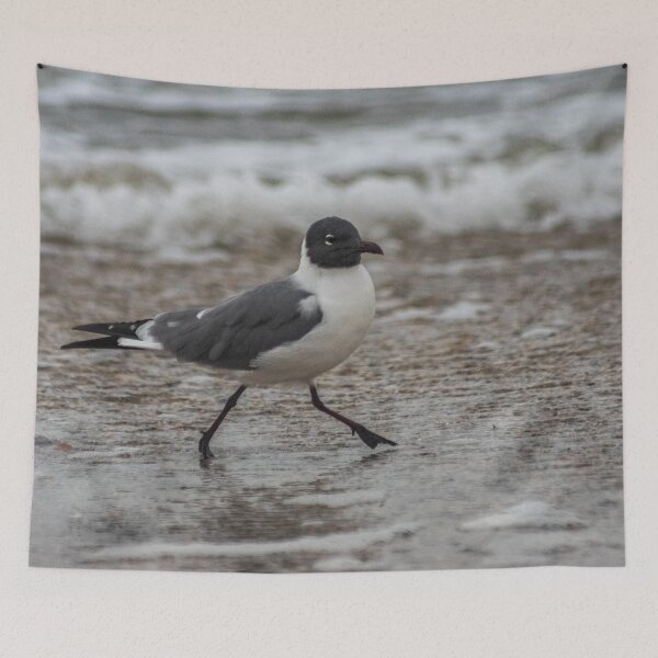 Item preview, Walking the beach designed and sold by KensLensDesigns.