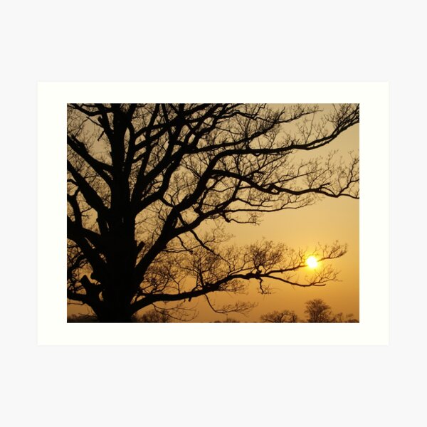 Sunset Silhouette Art Print