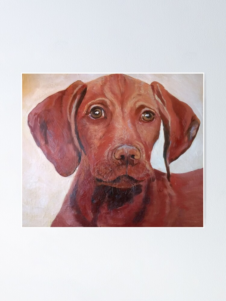 vizsla painting