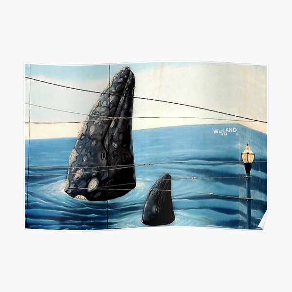 ~Wyland Whaling Wall Pier 39~ Poster