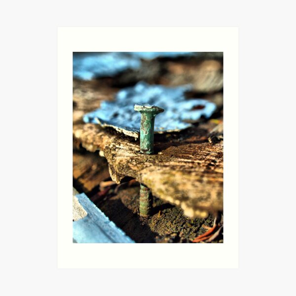 Nailed Art Print
