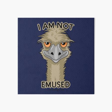 I Am Not Emused Funny Emu Pun I Am Not Emused Funny Emu Pun