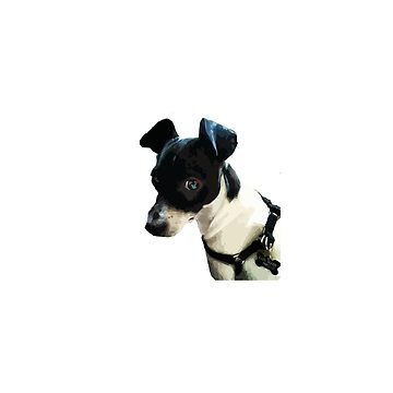 Artwork thumbnail, Carl the Rat Terrier by willpate