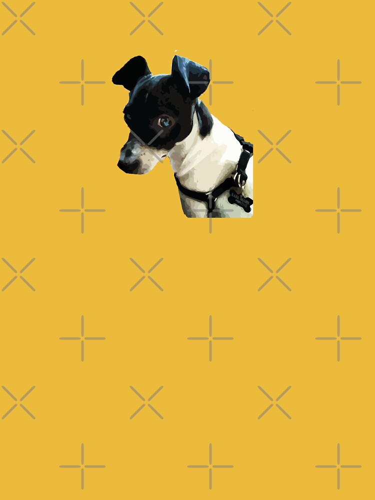 Carl the Rat Terrier by willpate