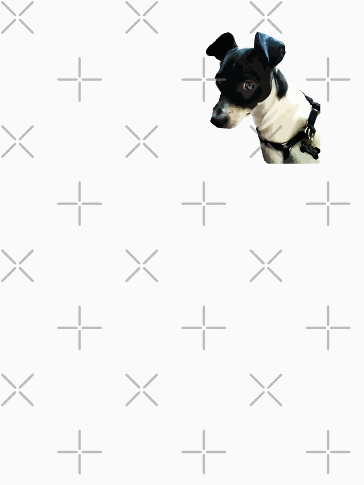 Carl the Rat Terrier by willpate