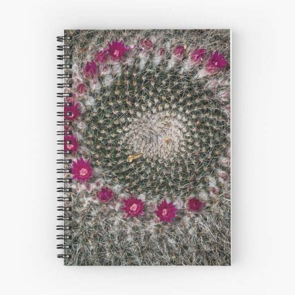 Item preview, Cactus with flowers Leith Park Victoria 20151027 0502 designed and sold by Fred Mitchell.