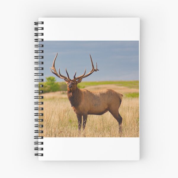 Item preview, Canadian Wapiti on the Prairies designed and sold by colorfulbundles.