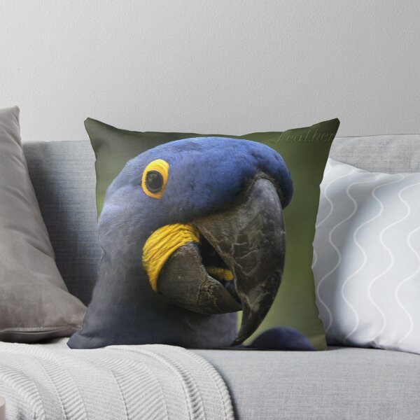 Item preview, Feathers have it designed and sold by jdbphotoworks.
