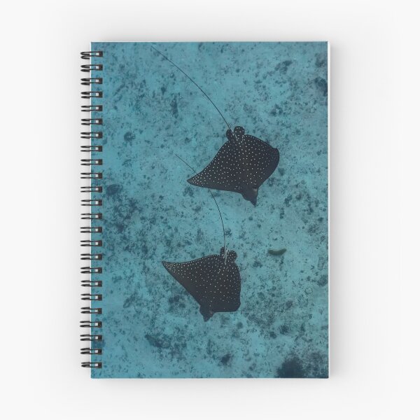 Item preview, Eagle Ray Symmetry  designed and sold by colindavisphoto.