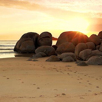 Artwork thumbnail, Golden Light by Stephen Ruane