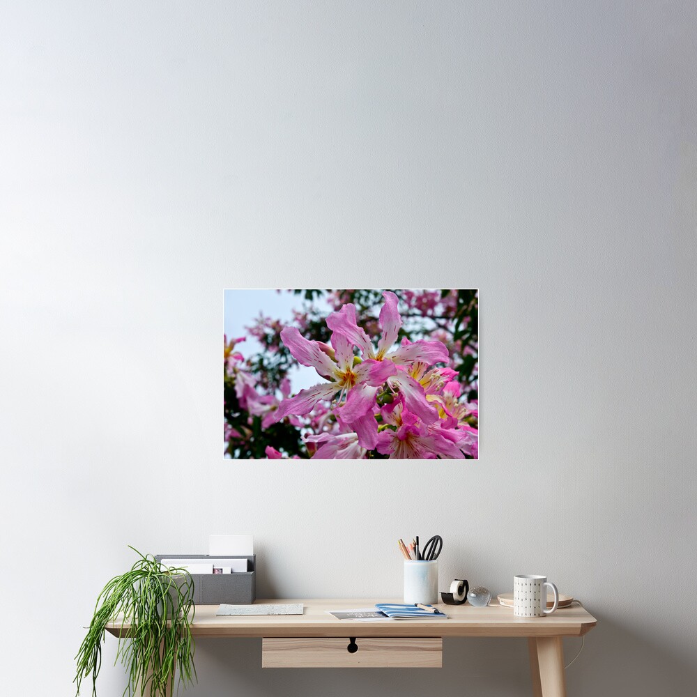 The Hands of Nature Poster