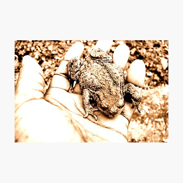 Item preview, Mr Toad designed and sold by tupat.