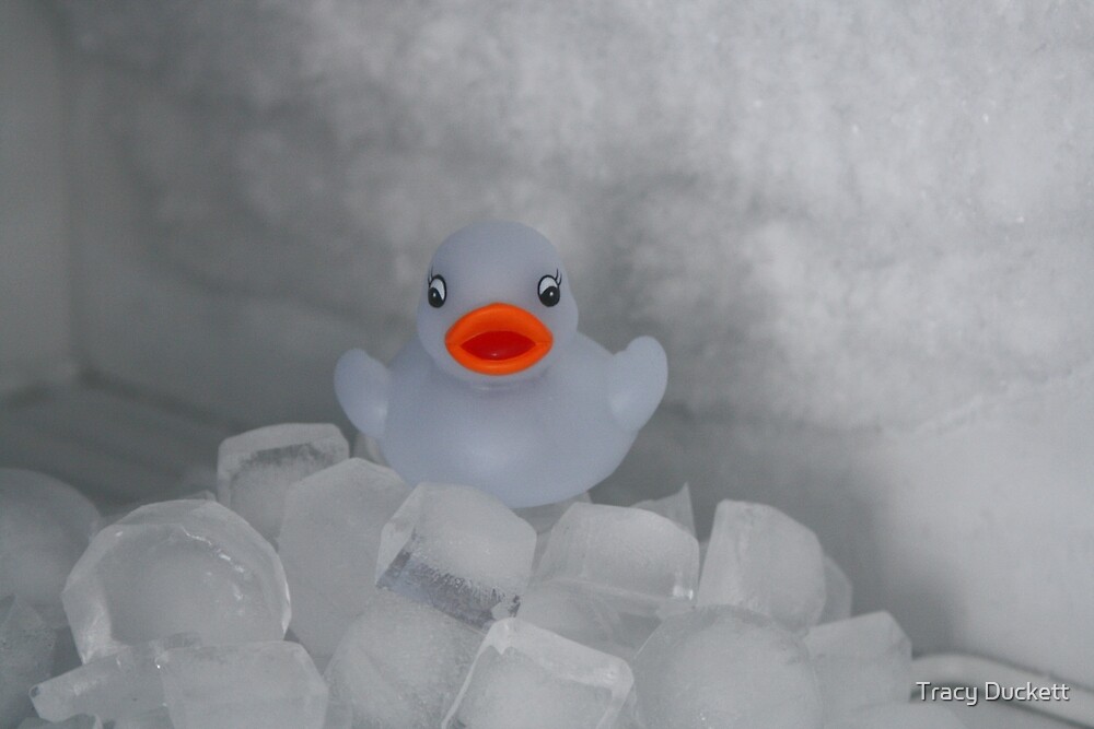 "Travels of a Rubber Duck, Number 2: Too Cold!" by Tracy Duckett