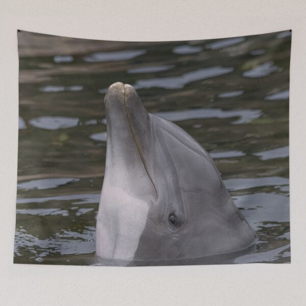 Item preview, Dolphin designed and sold by rawshutterbug.