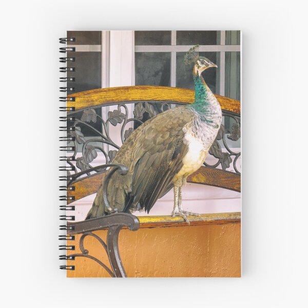 Item preview, Fine Feathered Neighbor designed and sold by Owed To Nature.